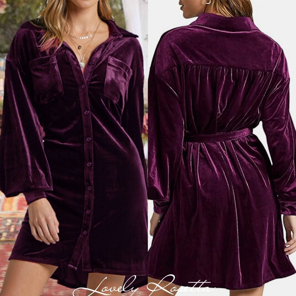 Velvety Button-Down Dress